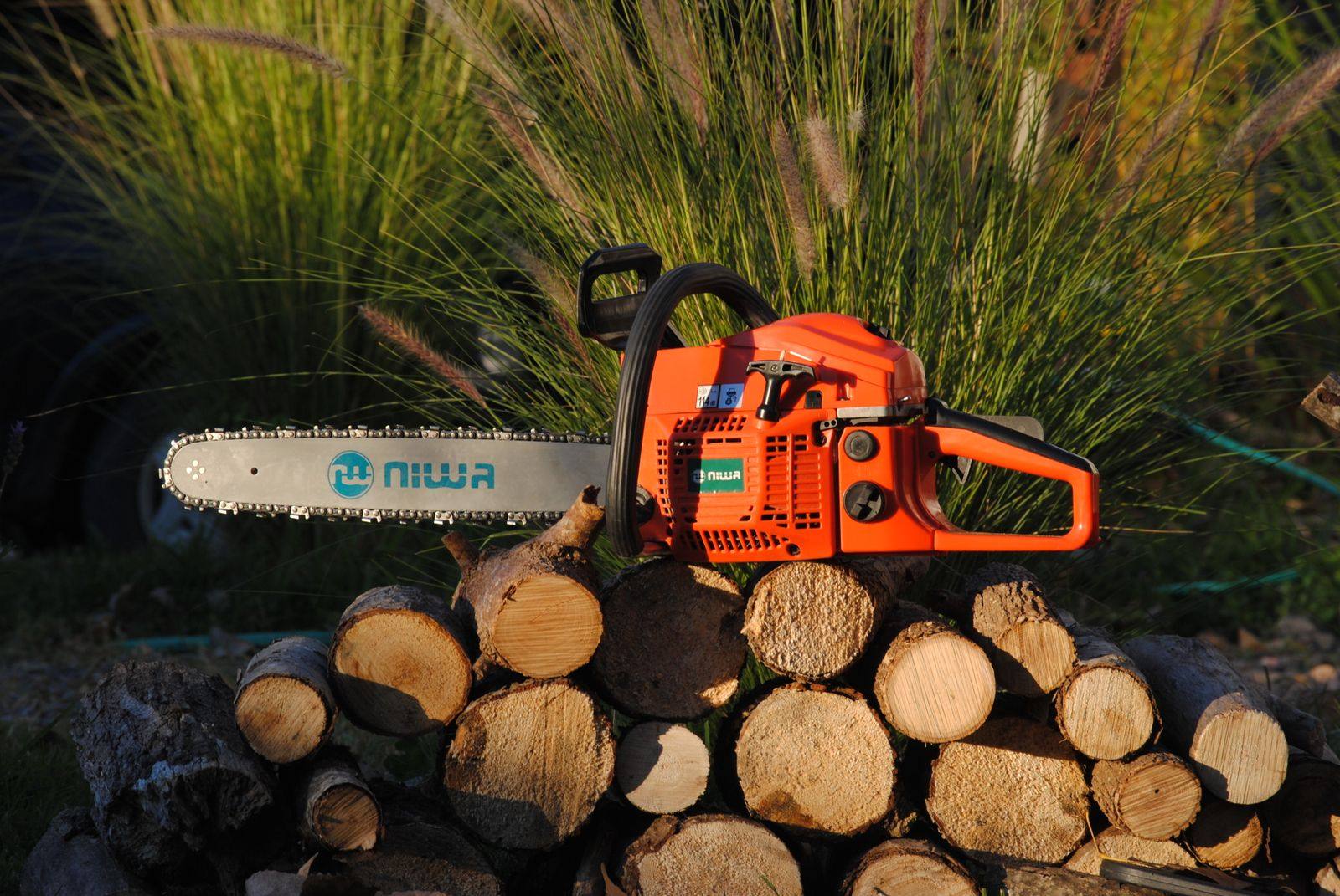 Chainsaw on cut logs after a tree removal in the West Valley